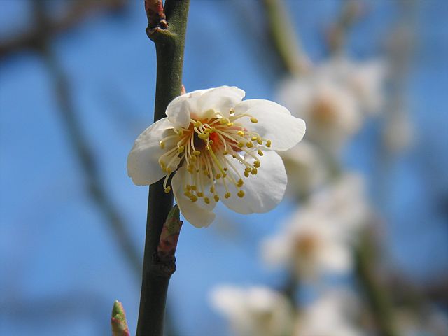 봄이 왔어요~~
