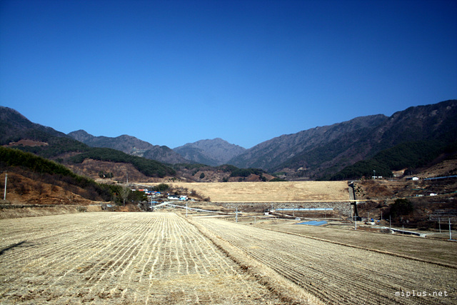 고향의 겨울