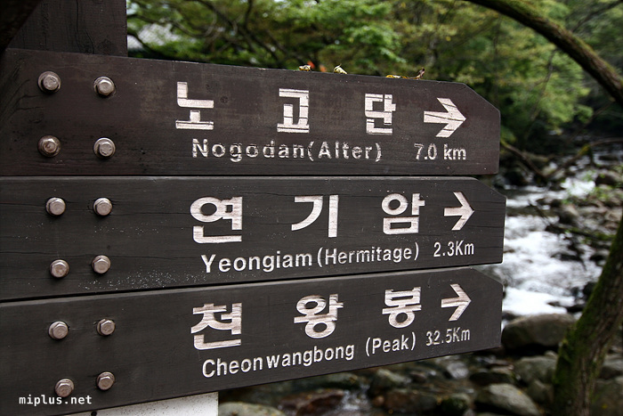 추석때 화엄사에 들러…