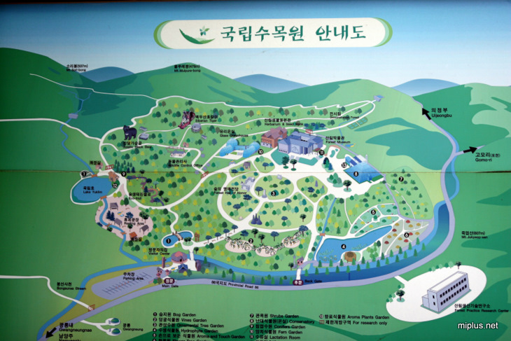국립수목원 – 관목림 가는 길