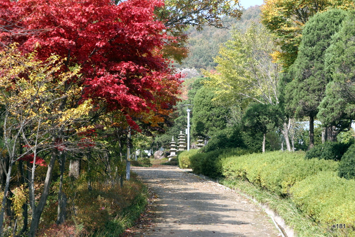 신구대학식물원