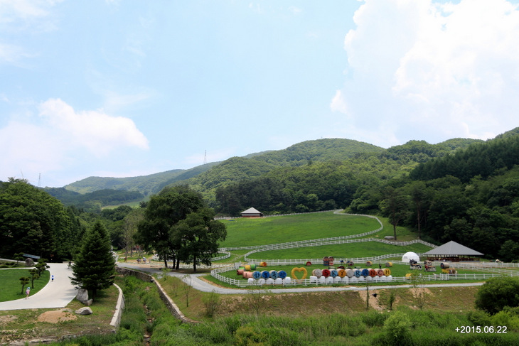 하늘목장