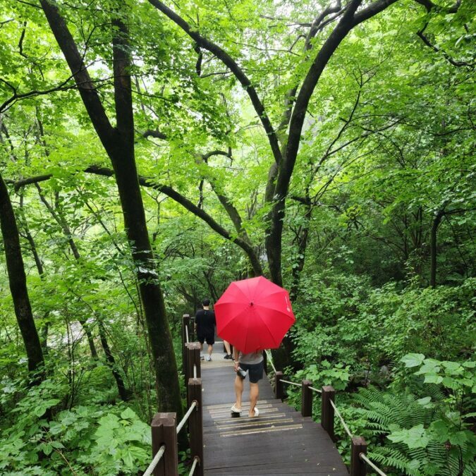 강씨봉 자연휴양림