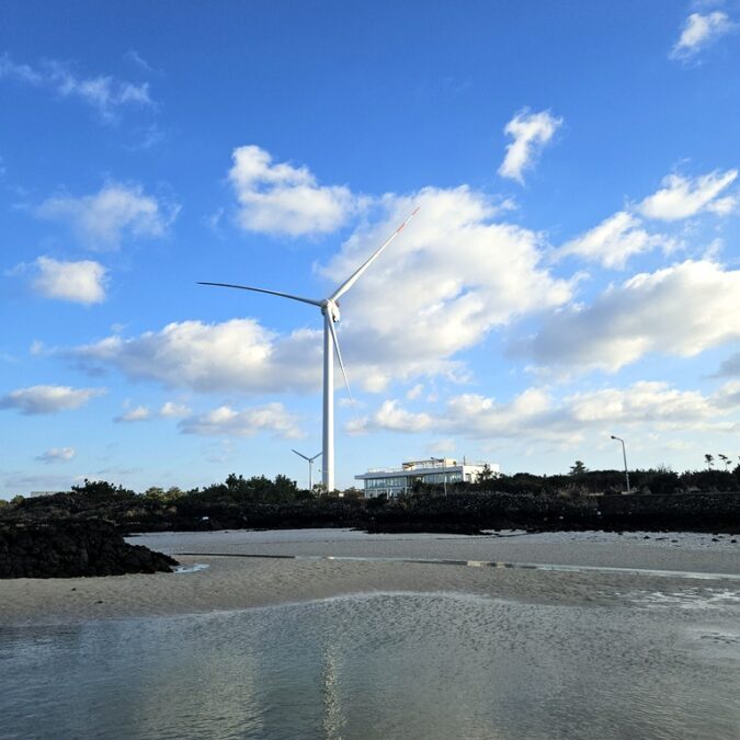 국수,빵,바다,고기