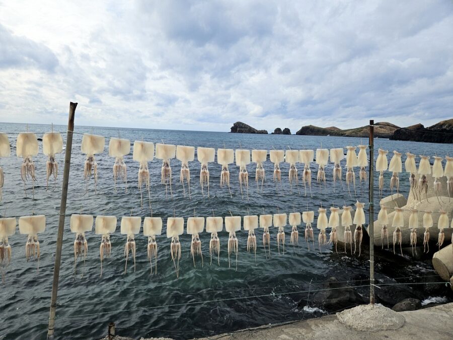 대평리,차귀도,금릉